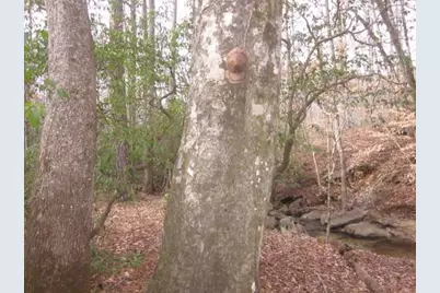 0 Sparks Way, Talking Rock, GA 30175 - Photo 47