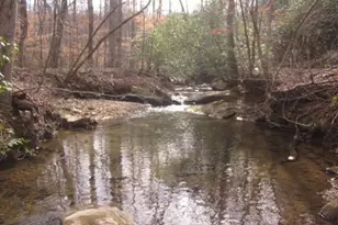 0 Sparks Way, Talking Rock, GA 30175 - Photo 1