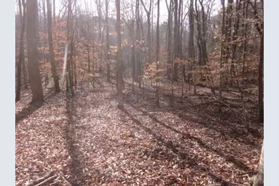 0 Sparks Way, Talking Rock, GA 30175 - Photo 27