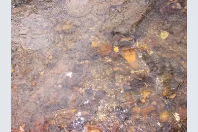 0 Sparks Way, Talking Rock, GA 30175 - Photo 45