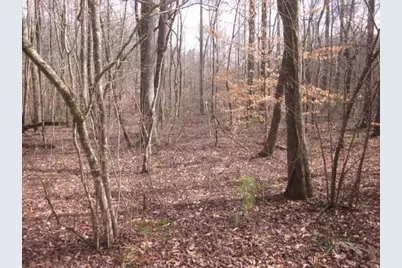 0 Sparks Way, Talking Rock, GA 30175 - Photo 17