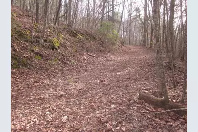 0 Sparks Way, Talking Rock, GA 30175 - Photo 53