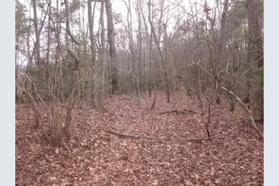 0 Sparks Way, Talking Rock, GA 30175 - Photo 9