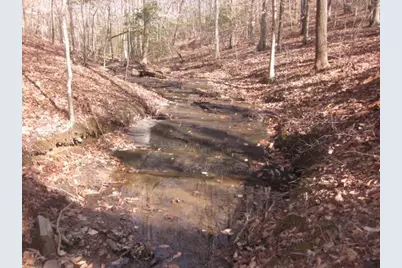 0 Sparks Way, Talking Rock, GA 30175 - Photo 29