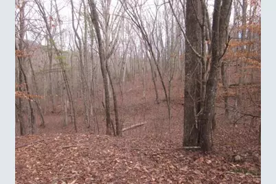 0 Sparks Way, Talking Rock, GA 30175 - Photo 5