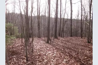 0 Sparks Way, Talking Rock, GA 30175 - Photo 37