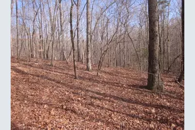 0 Sparks Way, Talking Rock, GA 30175 - Photo 33