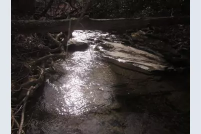 0 Sparks Way, Talking Rock, GA 30175 - Photo 15