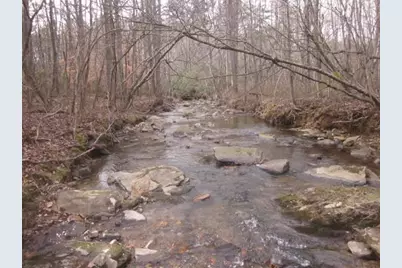 0 Sparks Way, Talking Rock, GA 30175 - Photo 51