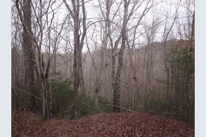 0 Sparks Way, Talking Rock, GA 30175 - Photo 7