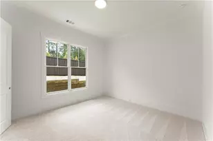 285 Reese Wy, Ball Ground, GA 30107 - Photo 19