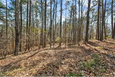0 Northcutt Road, Fairburn, GA 30213 - Photo 11
