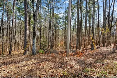 0 Northcutt Road, Fairburn, GA 30213 - Photo 9