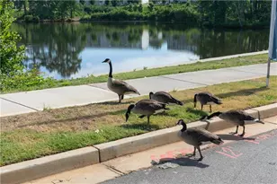 3106 Cambridge Ml St, Acworth, GA 30102 - Photo 59