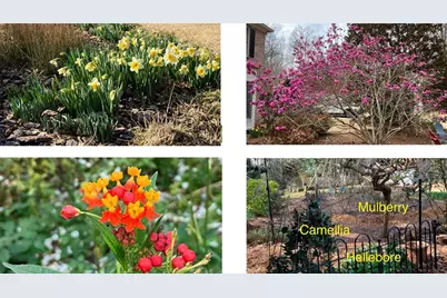 3118 Hampton Ives Court, Duluth, GA 30096 - Photo 31