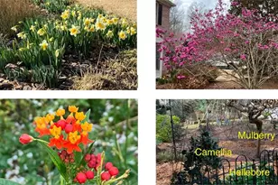 3118 Hampton Ives Ct, Duluth, GA 30096 - Photo 31