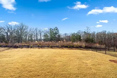 321 Bear Way, Hoschton, GA 30548 - Photo 37