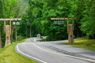 94 Hughes Pl Dr, Dawsonville, GA 30534 - Photo 43