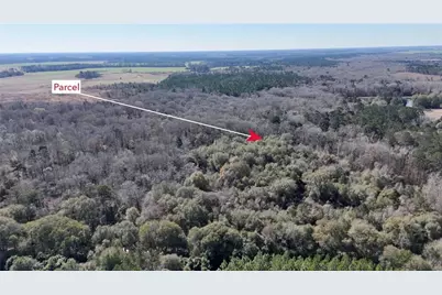 0 Highway 90, Byromville, GA 31007 - Photo 11