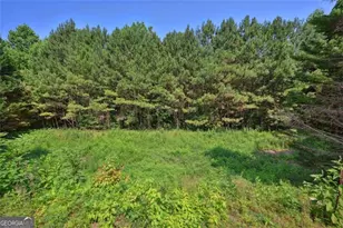 939 Pike Forest Dr, Lawrenceville, GA 30045 - Photo 17