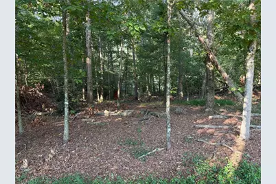 179 Garrison Drive, Cleveland, GA 30528 - Photo 19