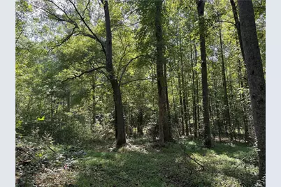 6485 Forsyth Drive, Cumming, GA 30028 - Photo 19