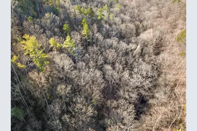 0 River View Lot 13 Trail, Dahlonega, GA 30533 - Photo 9