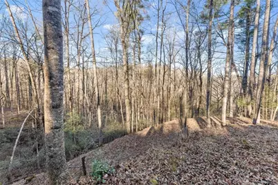 0 River View Lot 13 Trail, Dahlonega, GA 30533 - Photo 27