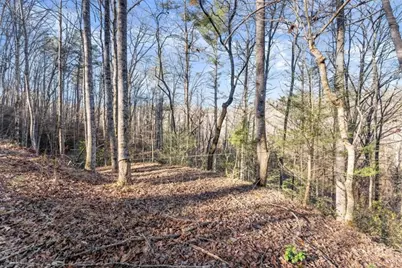 0 River View Lot 13 Trail, Dahlonega, GA 30533 - Photo 25