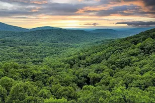 43 Toland Way, Big Canoe, GA 30143 - Photo 47