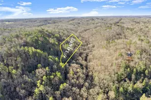 0 River View Lot 12 Trail, Dahlonega, GA 30533 - Photo 1