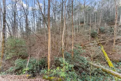 0 River View Lot 12 Trail, Dahlonega, GA 30533 - Photo 31