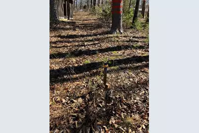 339 N Century Drive, Martin, GA 30557 - Photo 17