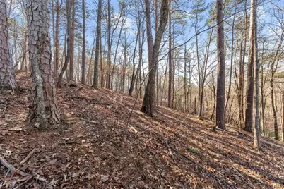 0 Golden Lot 1 Avenue, Dahlonega, GA 30533 - Photo 15