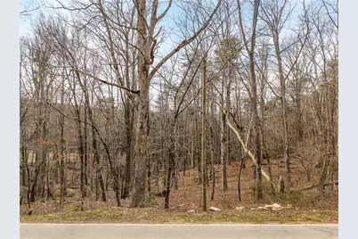 Lt 167 Henderson Mountain Road, Jasper, GA 30143 - Photo 3
