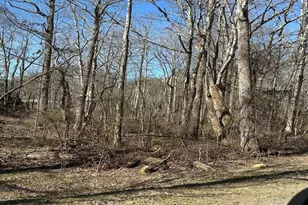 Lt 167 Henderson Mountain Rd, Jasper, GA 30143 - Photo 1