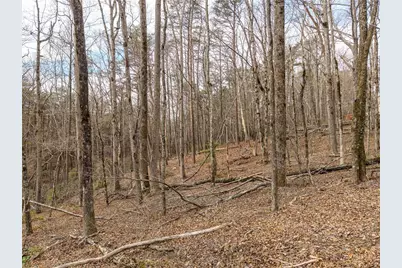 Lt 167 Henderson Mountain Road, Jasper, GA 30143 - Photo 5