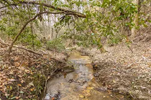 Lt 167 Henderson Mountain Rd, Jasper, GA 30143 - Photo 1