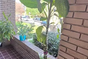 638 Moreland Ave NE, Atlanta, GA 30307 - Photo 15