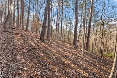 0 Golden Lot 4 Avenue, Dahlonega, GA 30533 - Photo 17