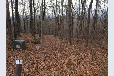 Lot 29 Long Mountain Trail, Cleveland, GA 30528 - Photo 5