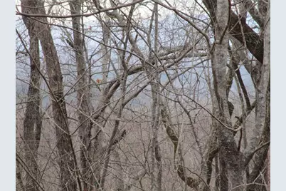 Lot 29 Long Mountain Trail, Cleveland, GA 30528 - Photo 9