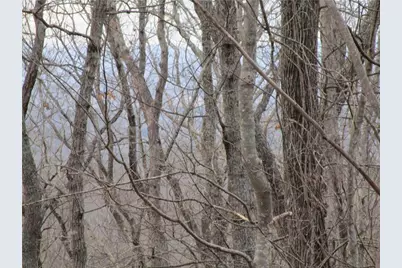 Lot 29 Long Mountain Trail, Cleveland, GA 30528 - Photo 7