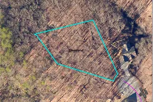 Lot 29 Long Mountain Trail, Cleveland, GA 30528 - Photo 1