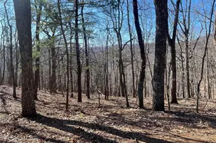 47 Bellflower Dr, Jasper, GA 30143 - Photo 1