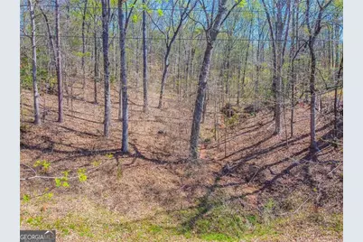 0 Arrow Lane, Lavonia, GA 30553 - Photo 3