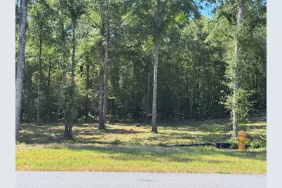 100 Falls Lane, Milledgeville, GA 31061 - Photo 3