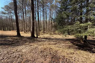 522 Bible Baptist Rd, Ellijay, GA 30536 - Photo 13