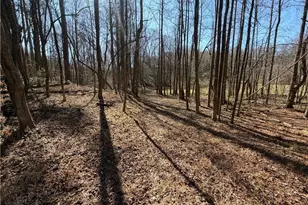 522 Bible Baptist Rd, Ellijay, GA 30536 - Photo 19