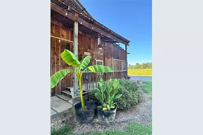 250 Hook Road NE, Ranger, GA 30734 - Photo 67